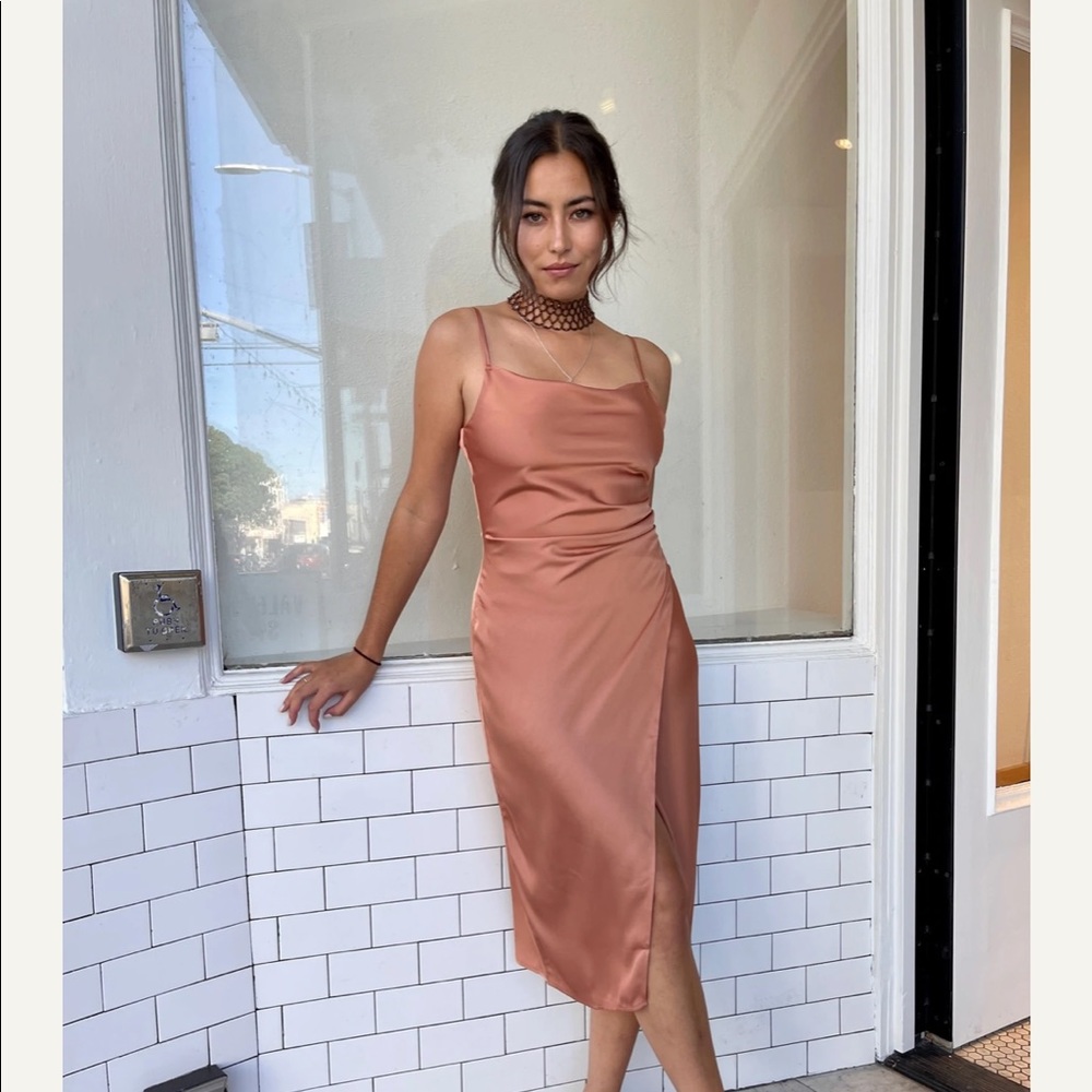 NWT Isalis Sofia Silky Dress in Ginger